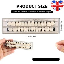 Dental Acrylic Resin False