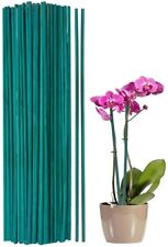 Green Flower Sticks Bamboo Split Garden Canes Plant Support 12" 18" 24" 30" 36"