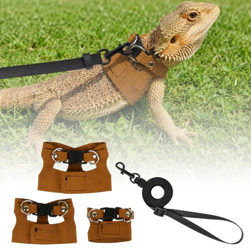 Bearded dragon harness - dragon,