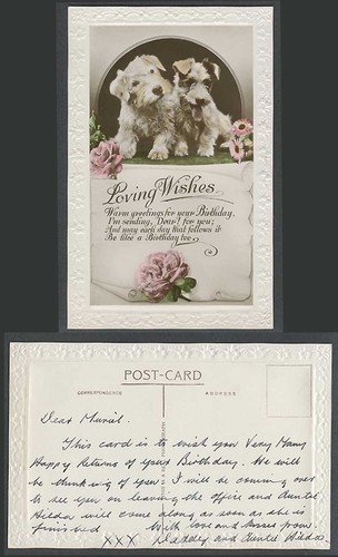 Fox terrier dog - terrier, puppy