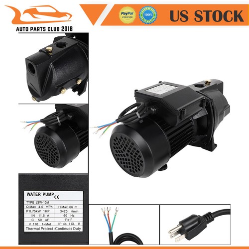 Shallow well jet pump w - well, w/