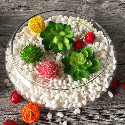 Glass fish bowl - ,