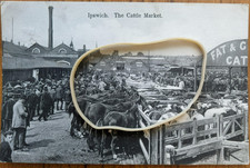 Vintage postcard Ipswich Cattle Market - cattle, horses, posted 1917