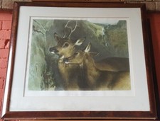 Landseer, The Honeymoon, JB Pratt Engraver, Edwin Landseer, Deer, St Hubert Club