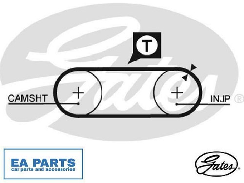 Timing belt for california - belt,