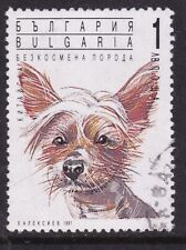 Bulgaria 1991 Mexican Hairless Dog 1L Fine Used SG 3788 VGC