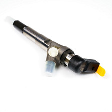 Genuine Renault Fuel Injector