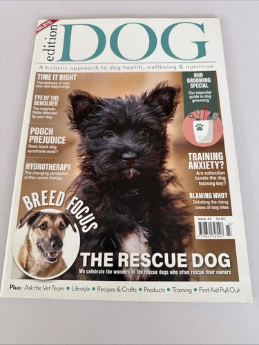 Edition dog issue magazine - dog, 43