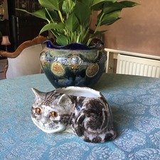 Winstanley Cheshire Tabby Cat