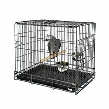 Parrot travel cage - parrot, cage,