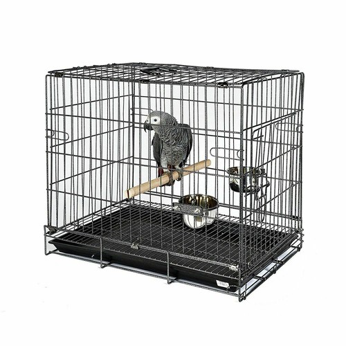 Parrot travel cage - parrot, holiday