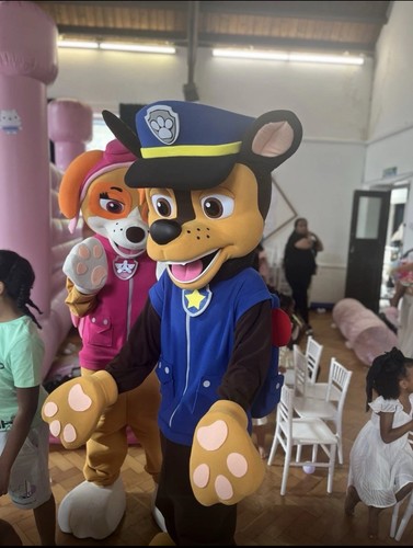 Paw patrol mascot costume - , for