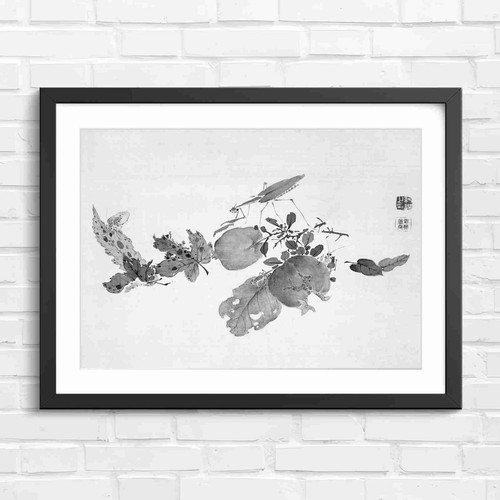 Chinese pomegranate art black - pomegranate,