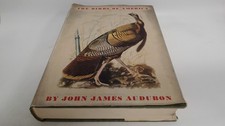 			The birds of America, John