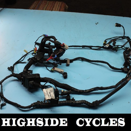 1299 harley davidson dyna - 1299,