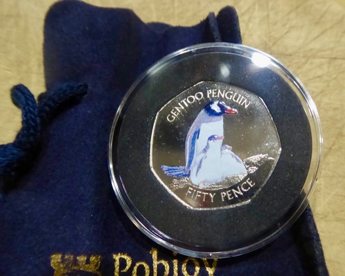 2017 falklands gentoo - 2017,