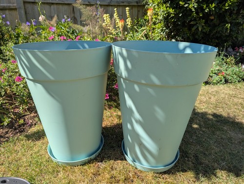 Two pair large pale - large,