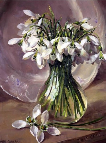 Anne cotterill art blank - cotterill,