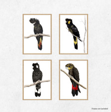 Set of 4 Watercolour