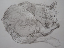 Original sketch pencil drawing