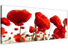Red Extra large Canvas Print