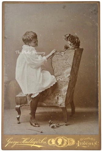Cabinet card boy playing with - playing,