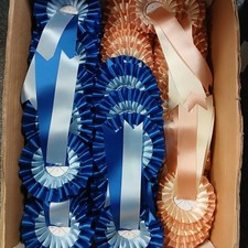 Rosettes job lot,  24 rosettes in total. Left over excess stock FREE POSTAGE