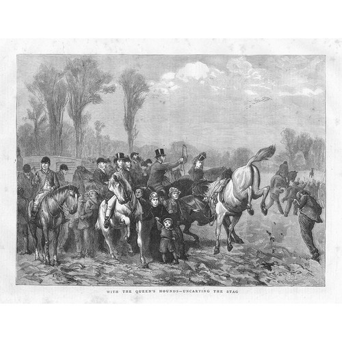 Hunting with the queen - hunting, queen's