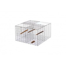 Larsen trap magpie crow - magpie, with