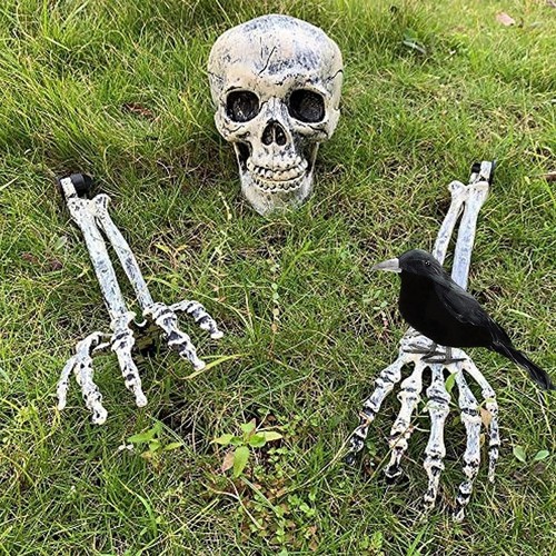 Skeleton decoration with - with, crow