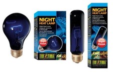 EXO TERRA NIGHT HEAT LAMP T10