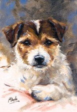 Jack Russell Terrier, dog Christmas cards pack of 10 by Paul Doyle C436x