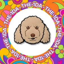 Super cute baby puppy poodle - cute,