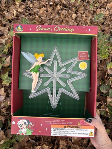 Disney parks tinker bell - parks,