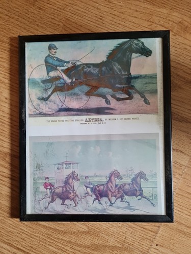 Vintage framed harness - framed,
