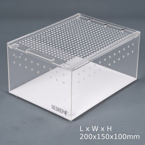 Acrylic reptile invertebrate - acrylic,