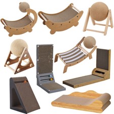 LARGE CAT KITTEN KITTEN