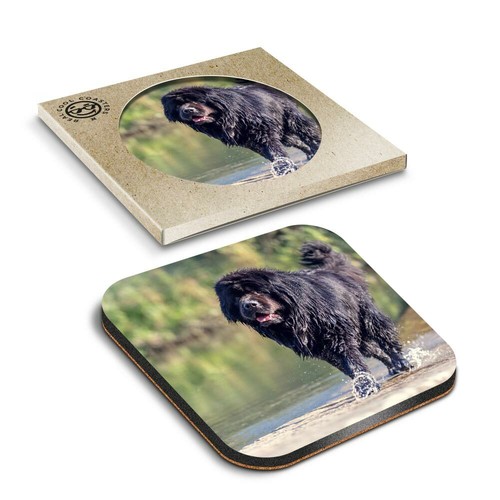 Boxed square coasters - 1,