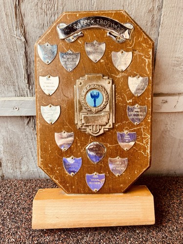Big trophy shield 12 - 🏆,
