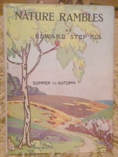 Nature rambles autumn - nature, to