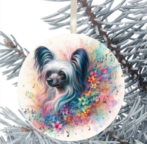 Chinese crested dog hanging - chinese,