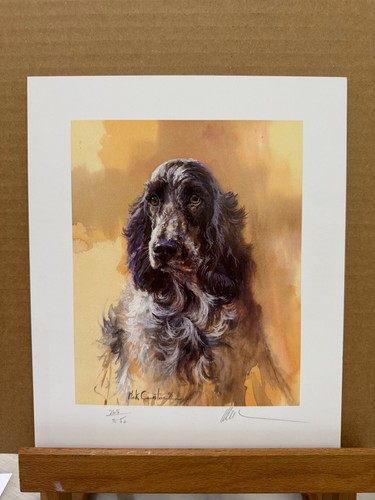 Mick cawston blue roan - mick,