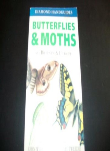 Butterflies and moths - and, of