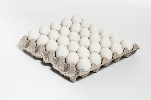 120 new count egg trays - 120, 30