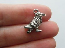 6 Raven bird charms  antique