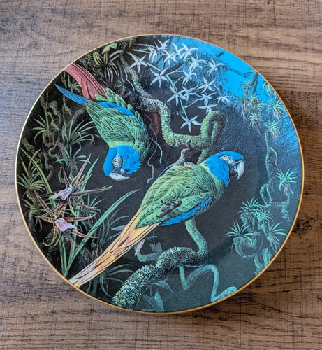 Wedgwood blue headed macaws - wedgwood, macaws'