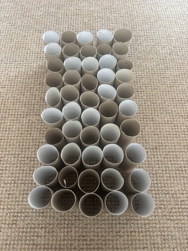 Empty cardboard craft - craft, tubes