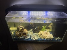 Super Fish Tank Aquarium with