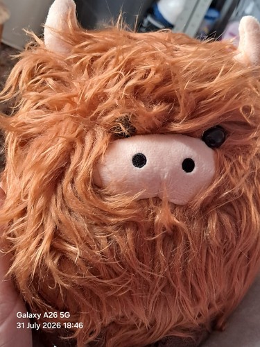 Highland cow cute stuffed - highland,