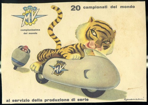 1955 moto augusta world - -, mv